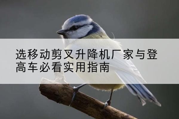 保康电动升降机厂家-选移动剪叉升降机厂家与登高车必看实用指南