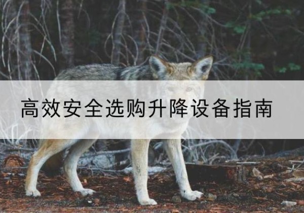 保康升降货梯厂家推荐-*安全选购升降设备指南